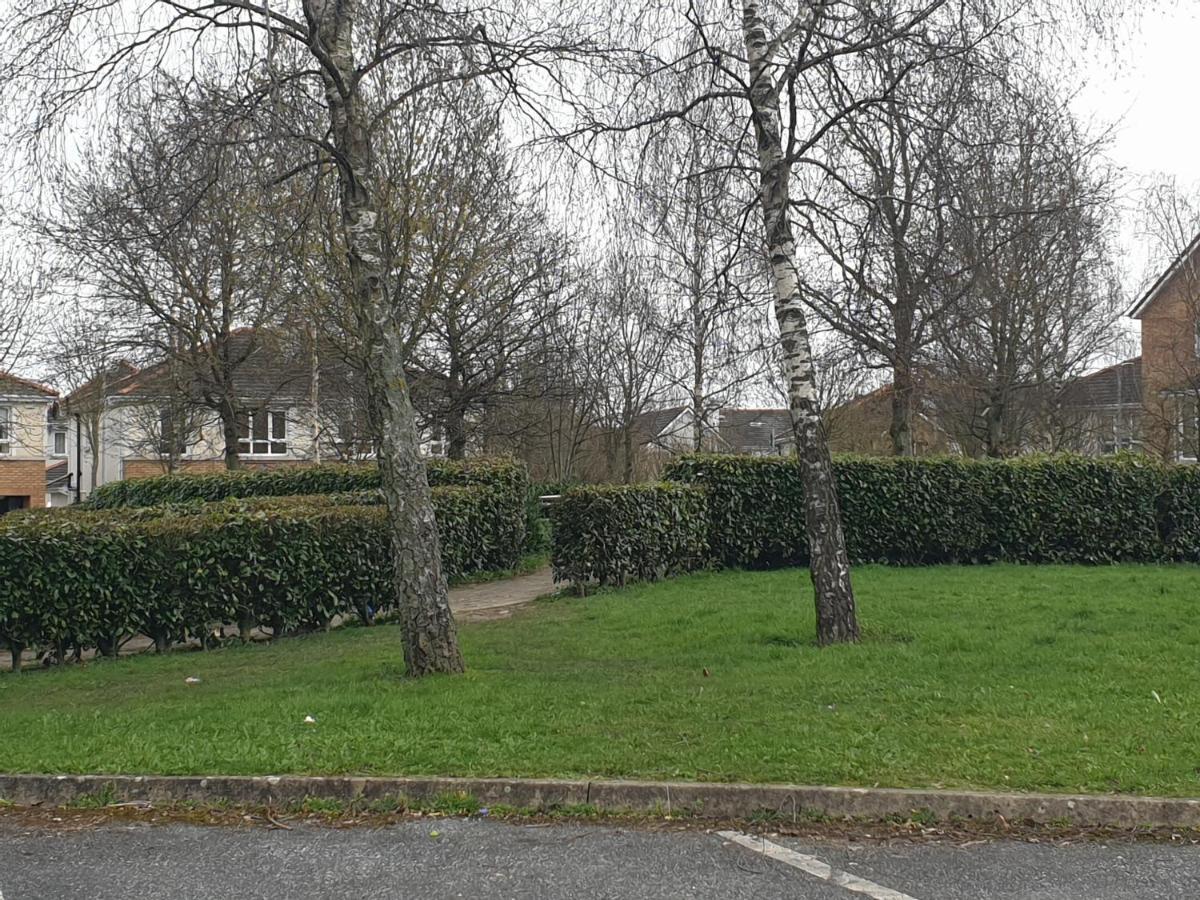 Kilkenny City Apartment Exterior foto